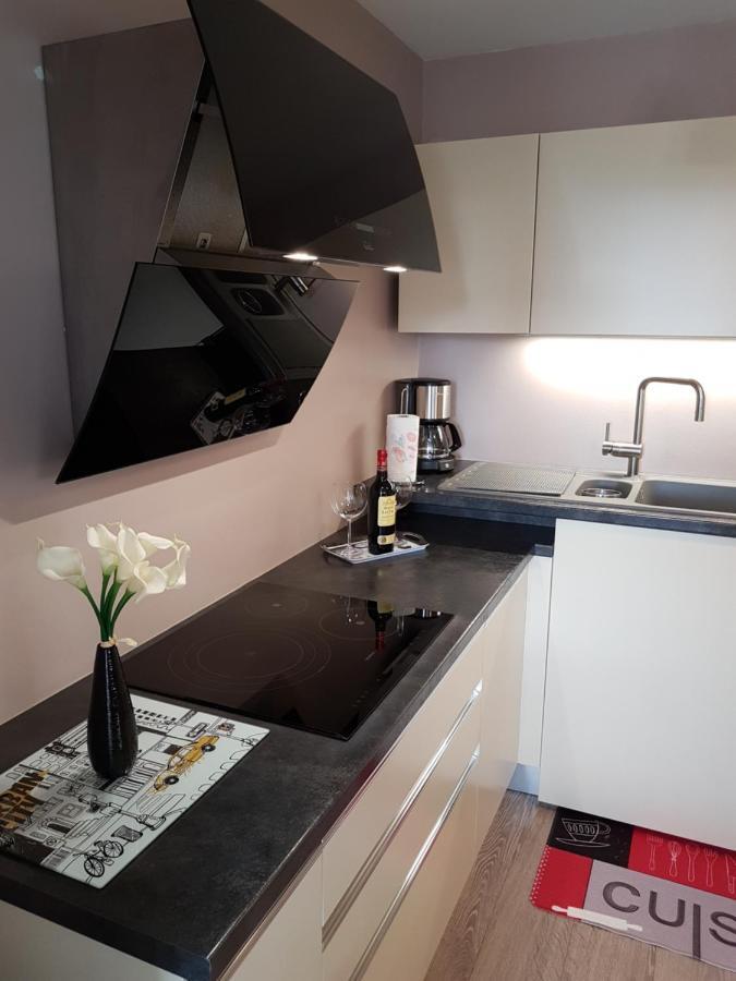 Cosy T3 Parmelan Appartement آنسي المظهر الخارجي الصورة