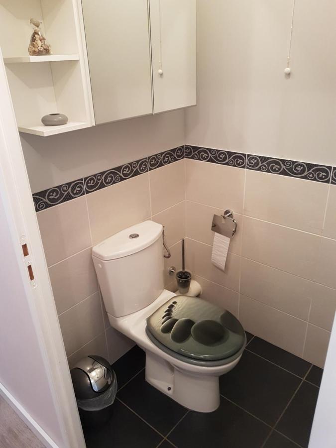 Cosy T3 Parmelan Appartement آنسي المظهر الخارجي الصورة